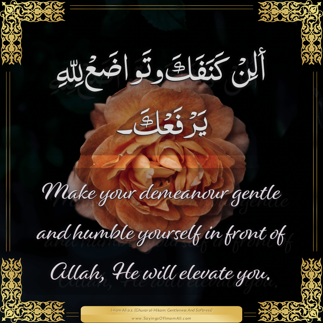 Make your demeanour gentle and humble yourself in front of Allah, He will...